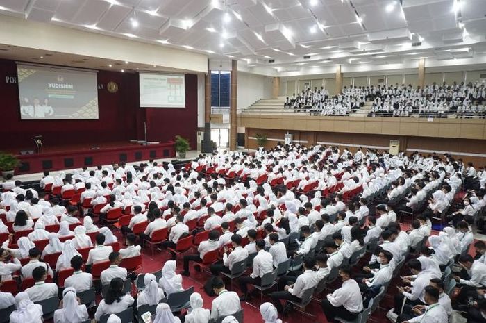 Kuliah Gratis Ini Alokasi Program Studi Dan Jalur Penerimaan Pkn Stan