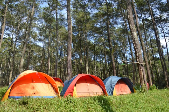 Rekomendasi Tempat Kemah Di Bandung Cocok Untuk Hari Pramuka Parapuan