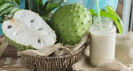 Lancarkan Pencernaan! Ini 3 Tips Memilih Sirsak yang Matang dan ...