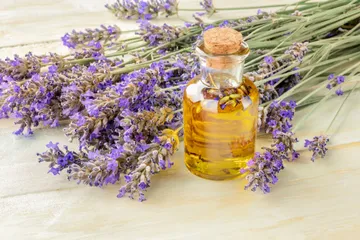 Mau Tidur Lebih Nyenyak? Cobalah Pakai Essential Oil dengan Wangi Ini 