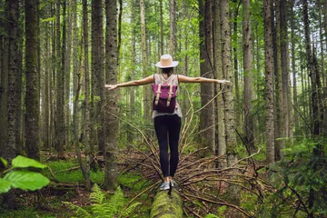 Ilustrasi forest bathing