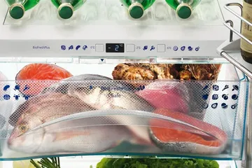Ikan segar di kulkas