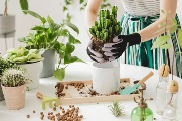 Berkebun menjadi kegiatan yang digemari belakang ini.