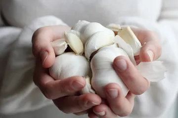 Mengusir tikus dari rumah dengan bahan dapur