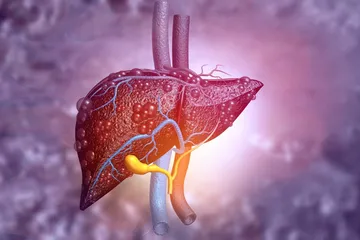 Belajar dari meninggalnya Ameer Azzikra, yuk ketahui makanan yang menyehatkan liver