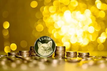Kripto yang diramal akan berpotensi lebih baik dari Shiba Inu di tahun 2022.
