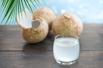 Manfaat minum air kelapa
