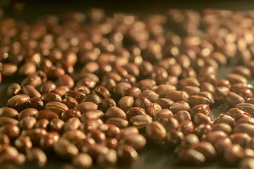 Tips memanggang kacang