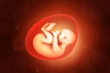 Hukum Aborsi di Indonesia