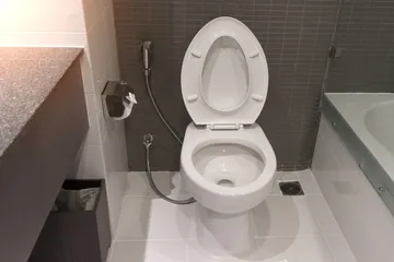 Mengatasi kloset kamar mandi mampet.