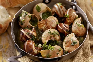 Tips memasak bekicot