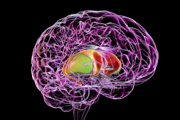 Menurut penelitian, prokrastinasi berkaitan dengan ADHD.