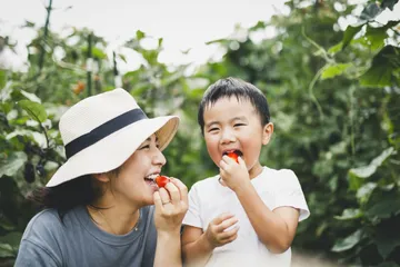 Tips memulai sustaineble eating