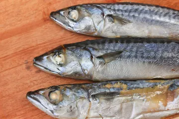 Tips mengolah ikan tongkol
