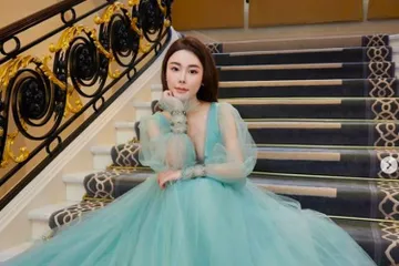 Fakta pembunuhan dan kasus mutilasi Abby Choi, seorang model asal Hongkong yang konflik dengan mantan suami