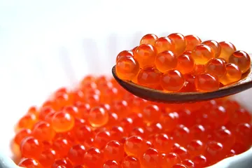 5 Manfaat Telur Salmon, Makanan Tinggi Nutrisi yang Viral di ...