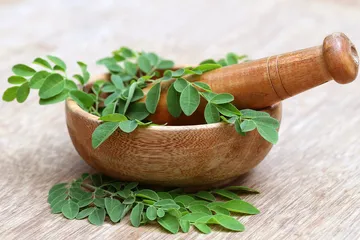 Manfaat daun kelor dari sudut pandang kesehatan.