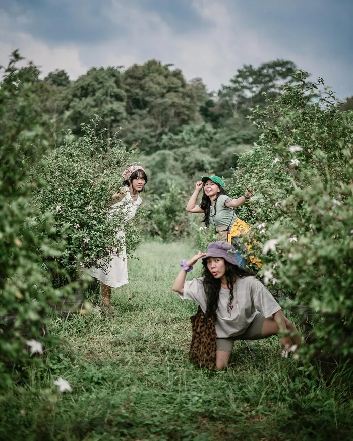 Berkunjung ke agrowisata Boemisora