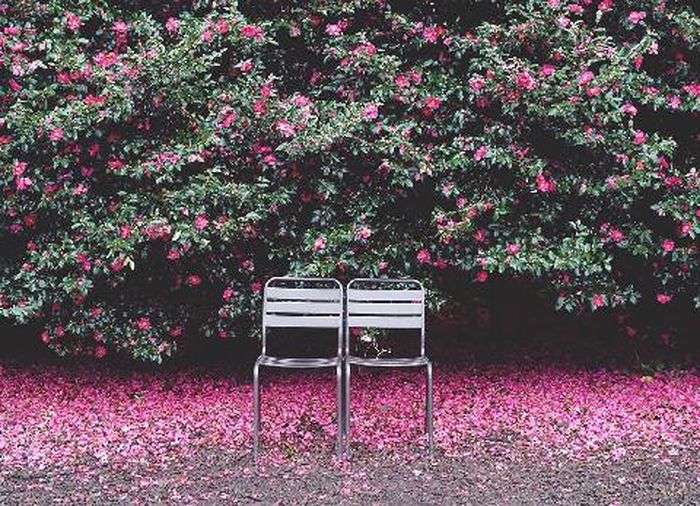 Jadi Lokasi Syuting Extraordinary Attorney Woo, Ini Hidden Gem Pulau