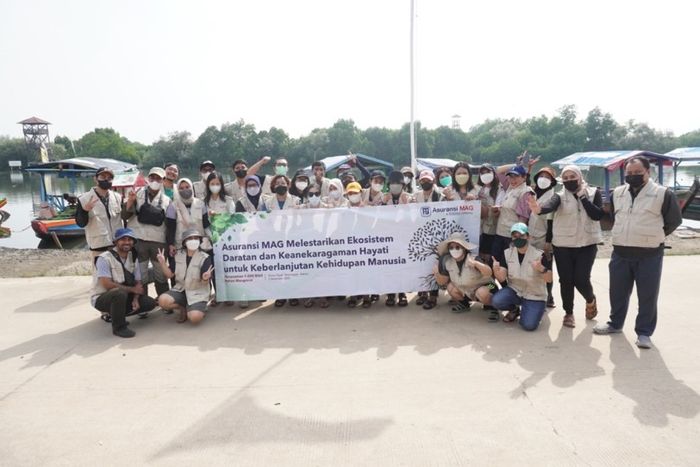 Penanaman 1.000 bibit mangrove pada hari Sabtu, 3 Desember 2022 di PPI Paljaya Desa Segarjaya, Tarumajaya, Bekasi, Jawa Barat yang melibatkan lebih dari 30 relawan pelestarian lingkungan hidup Asuransi MAG, tim Mitra Solusi Holistika dan mitra lokal diantaranya adalah petani mangrove serta POKMAWAS HIU (Kelompok Masyarakat Pengawas) Muara Tawar.