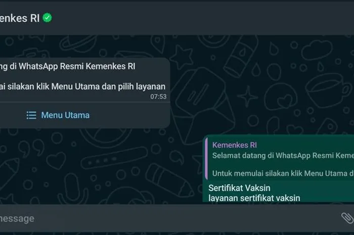 Aplikasi Chatbot Kemenkes WhatsApp untuk akses sertifikat vaksin. 