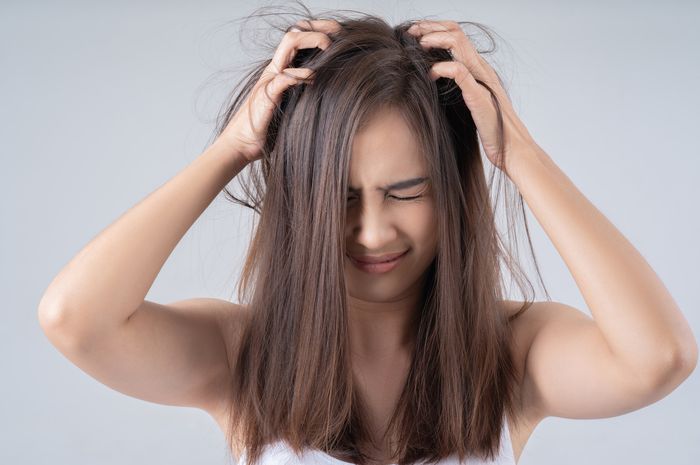 Rambut Kamu Kering Dan Rapuh? Kenali Penyebab Dan Cara Mengatasinya ...