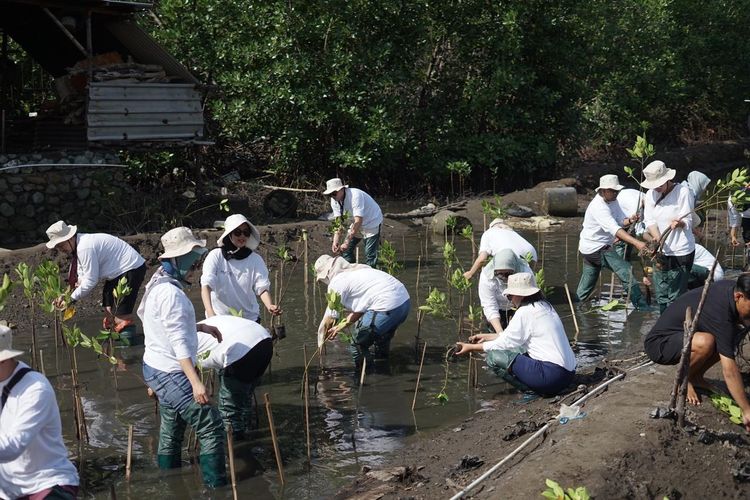 Konservasi Lingkungan Pesisir, Brand Kecantikan Ini Dukung Kehidupan Berkelanjutan