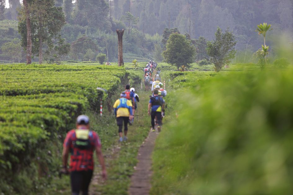 Trail Run dengan Pesona Alam Indah Wonosobo di Dieng Caldera Race 2024
