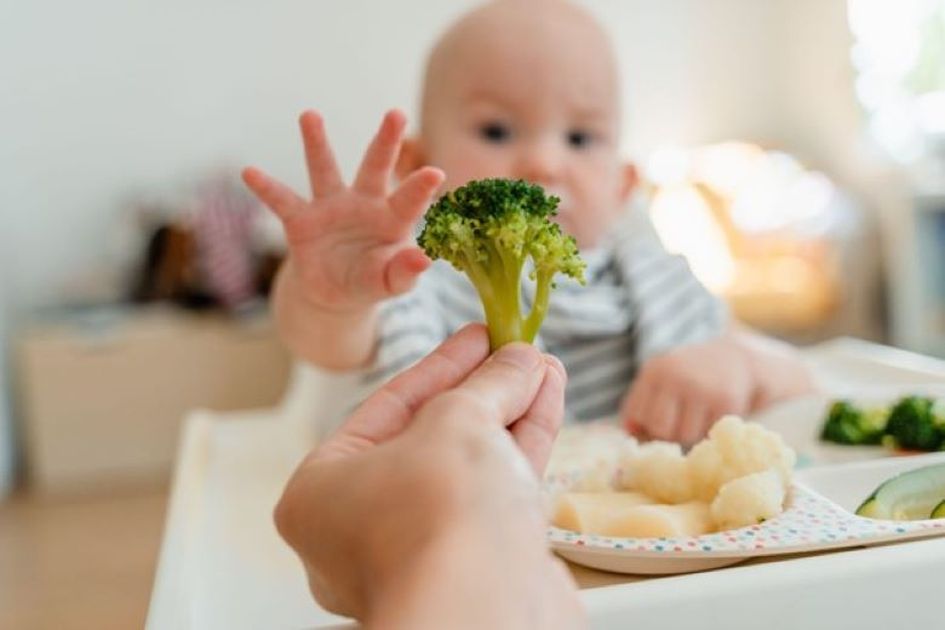 Bolehkah Memakai MSG untuk MPASI? Ini yang Perlu Orang Tua Ketahui 