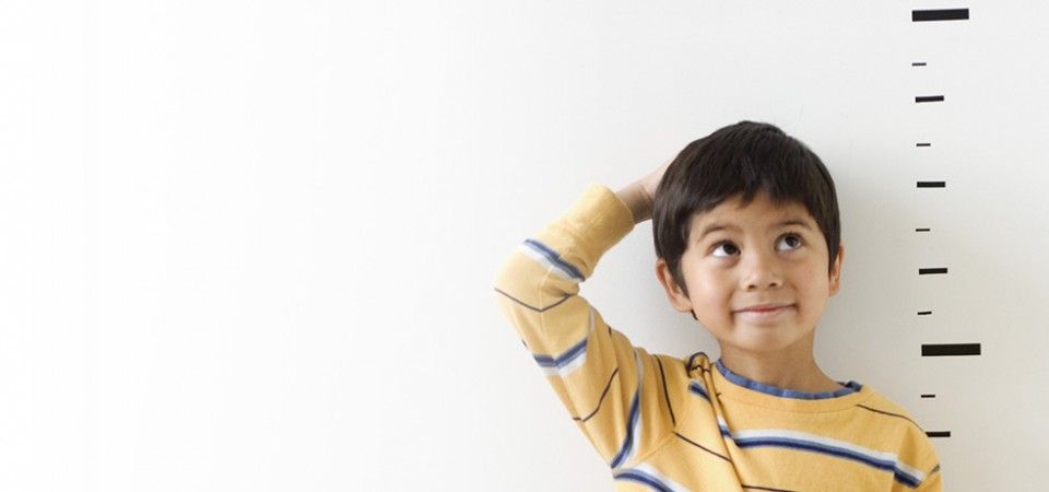 Sebagai orangtua, kita pastinya menginginkan anak untuk cepat tinggi dan punya berat badan sesuai. Nah, bagaimana caranya ya?