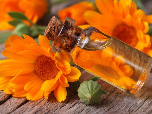 Kulit sensitif disarankan untuk menggunakan skincare dengan kandungan bahan alami. Berikut bahan alami yang aman untuk kulit sensitif.