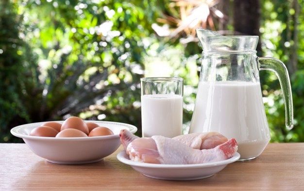 Kawan Puan, sebagai orang tua kamu harus memberi anak sumber protein hewani yang mengandung 9AAE. Tujuannya agar tumbuh kembang anak menjadi optimal