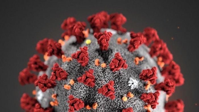 Kawan Puan, WHO menyatakan virus Corona varian Delta itu salah satu virus penyebab orang terinfeksi Covid-19 yang paling menular