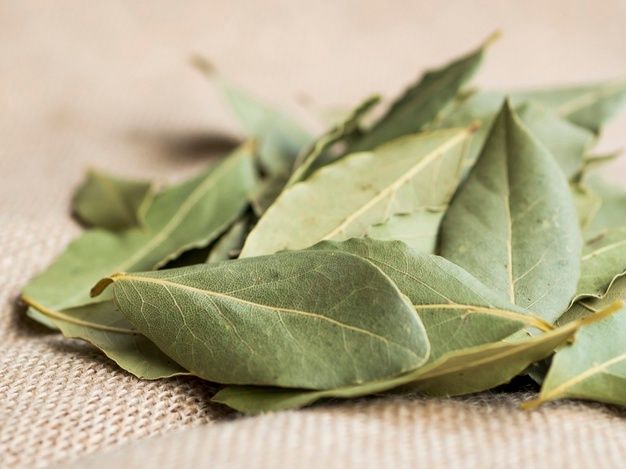 Benarkah lima bahan alami ini bisa membantu mengusir cicak dari dalam rumah? Berikut penjelasan lengkapnya.