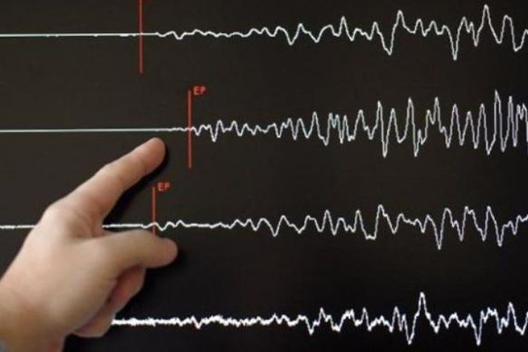 Gempa bumi bermagnitudo 6,7 mengguncang Kabupaten Malang, terasa hingga ke beberapa wilayah di Lombok dan Jawa Tengah.