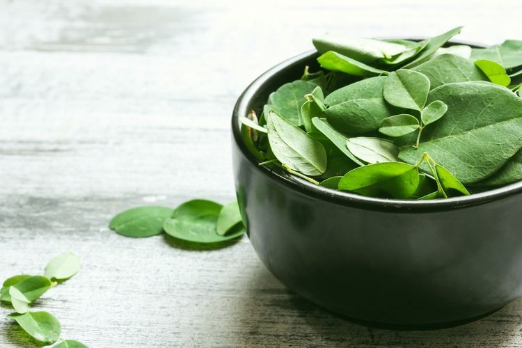 Daun kelor kerap disebut sebagai super food karena kandungan nutrisinya. Bahkan ia mampu meningkatkan sistem kekebalan tubuh, berikut penjelasannya.