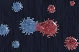 Kawan Puan, sebaiknya kamu dan keluarga tetap waspada sebab ada 3 varian baru virus corona yang sudah masuk ke Indonesia