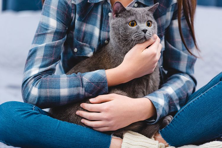 Tak menyangka, ternyata para pencinta kucing memiliki empat karakteristik ini pada diri mereka yang patut disimak dan sayang dilewatkan, lo