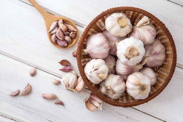 Kawan Puan, di rumahmu banyak tikus? Yuk, usir secara alami dengan memanfaatkan lima jenis tanaman berikut ini!