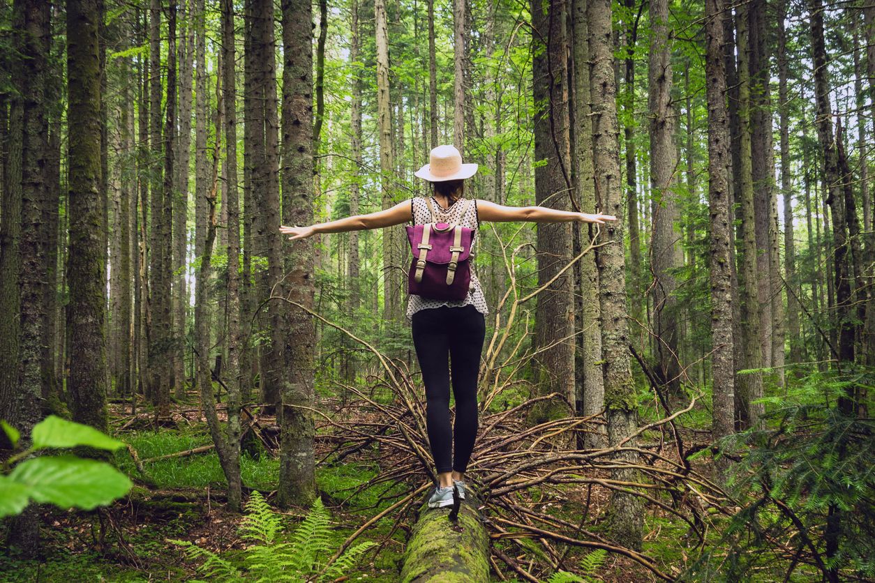 Forest bathing atau shinrin-yoku merupakan cara unik ala Jepang untuk menenangkan pikiran. Bahkan dampak panjangnya bisa untuk menyehatkan mental!