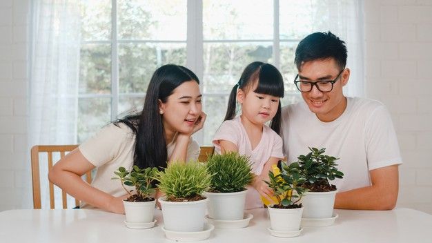 Meskipun masih pemula, kamu juga bisa mengikuti tren menanam bunga kekinian dengan perawatan mudah. Simak beberapa inspirasi jenis bunganya!