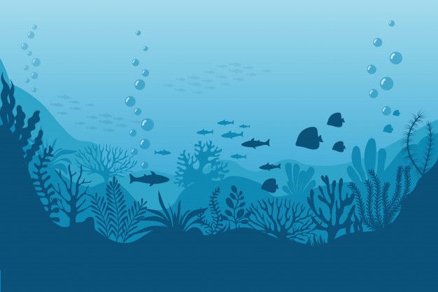 PBB menetapkan tanggal 8 Juni sebagai Hari Laut Sedunia. Ini aksi sederhana yang dapat kita lakukan di rumah untuk merayakannya.