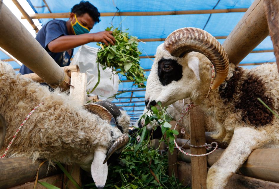 Pemerintah menetapkan Selasa 20 Juli 2021 sebagai Hari Raya Idul Adha 1442 H. Selama PPKM Darurat akan ada pengetatan, berikut aturan lengkapnya.