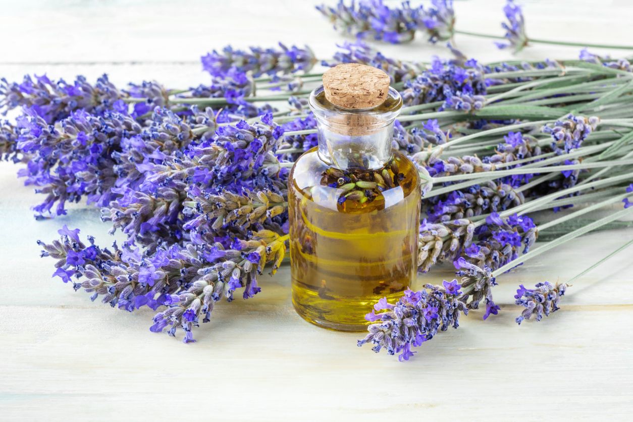 Berikut ini merupakan empat jenis bunga yang bisa dijadikan sebagai obat alami, salah satunya lavender.
