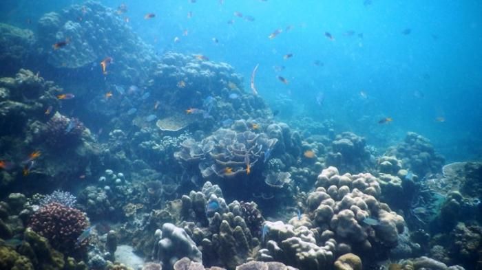 Lima pantai di Provinsi Sumatera Utara ini tidak kalah indah dari Raja Ampat dan Bali. Bahkan, beberapa masih belum terekspos oleh wisatawan.