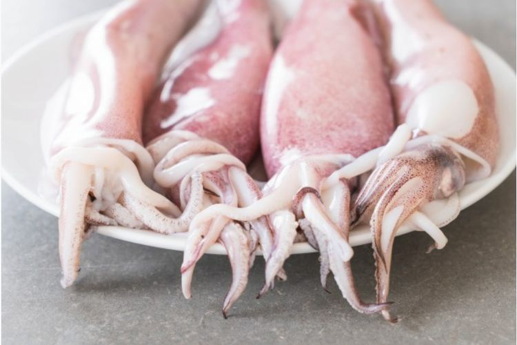 Hindari berbagai kesalahan ini yang sering dilakukan selama proses memasak cumi sehingga teksturnya alot dan tak kenyal lagi.
