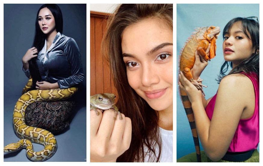 Dalam rangka merayakan Hari Binatang Sedunia tanggal 4 Oktober, inilah dia informasi tentang artis perempuan Indonesia yang punya peliharaan unik!
