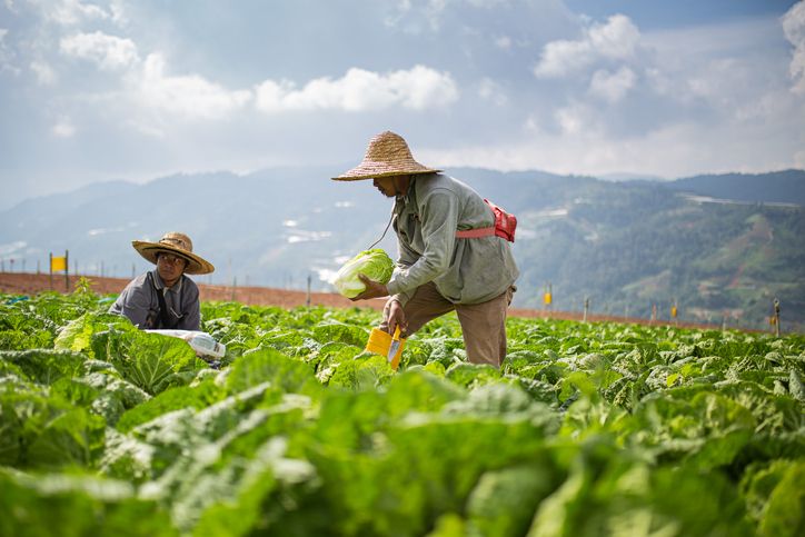 NOVA bersama Allianz Indonesia menggandeng TaniFund menggelar Kulwap untuk mitra petani. Berikut ulasannya
