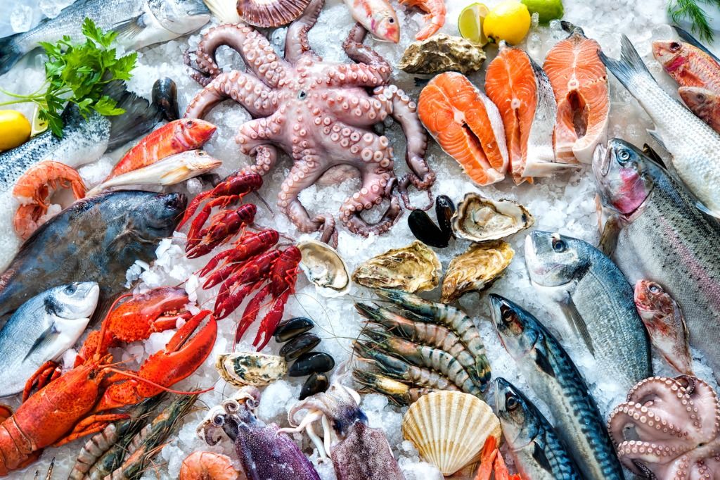 Ini 6 keuntungan dan manfaat yang dirasakan oleh tubuh jika kamu menganut pola makan pescatarian. Bisa makin bahagia, lho!