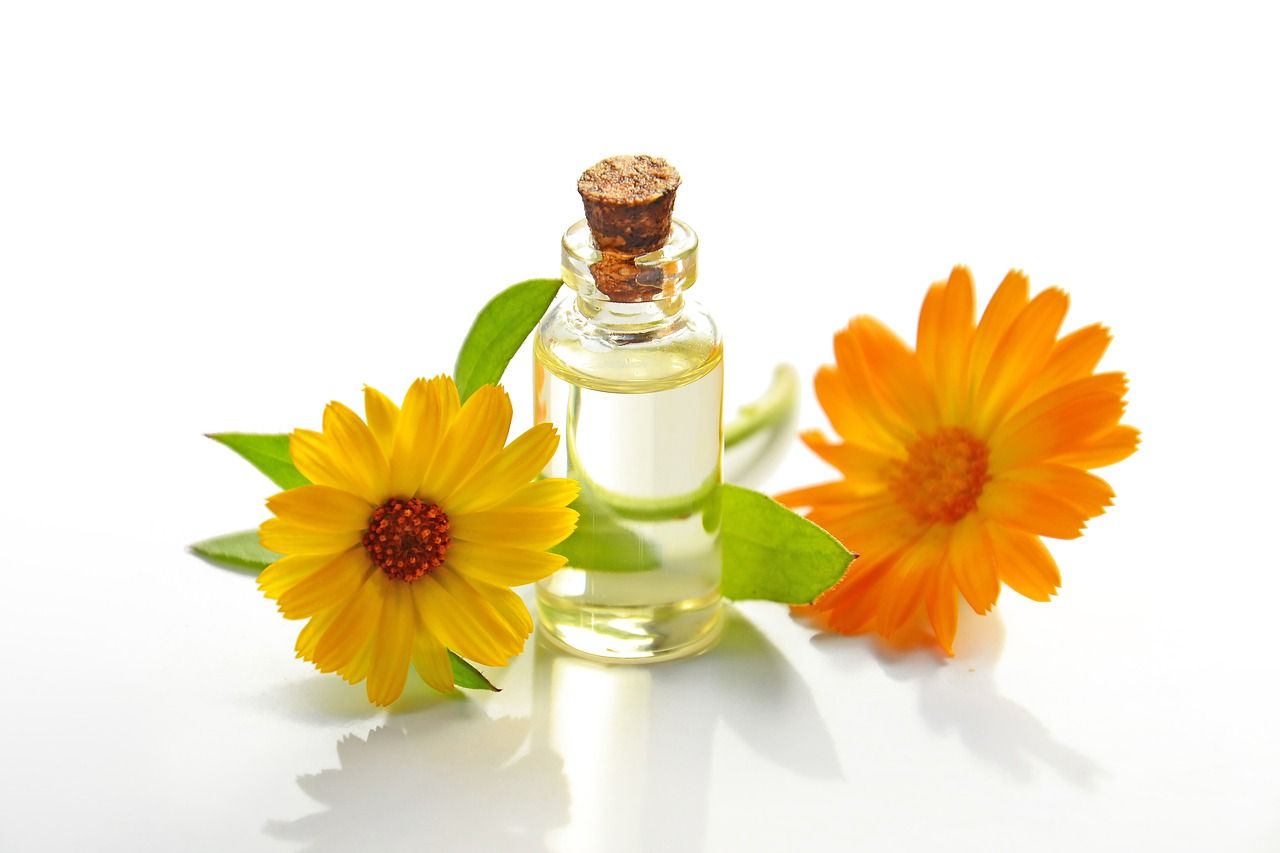 Calendula atau tanaman marigold tak hanya indah dilihat, tetapi juga punya manfaat untuk kecantikan berikut ini!